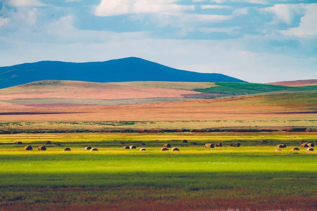 内蒙古发展探讨,观点解析与未来发展展望