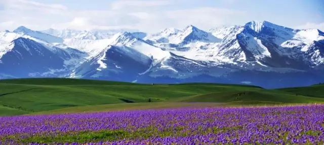 新疆,神秘多元魅力之地的探索与揭秘